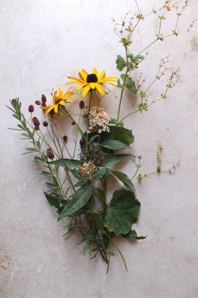 Pigment studie – intro