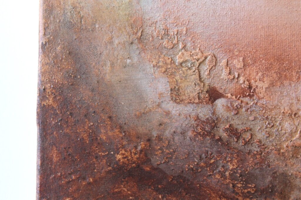 Collecties - Natuurlijk Verwonderen