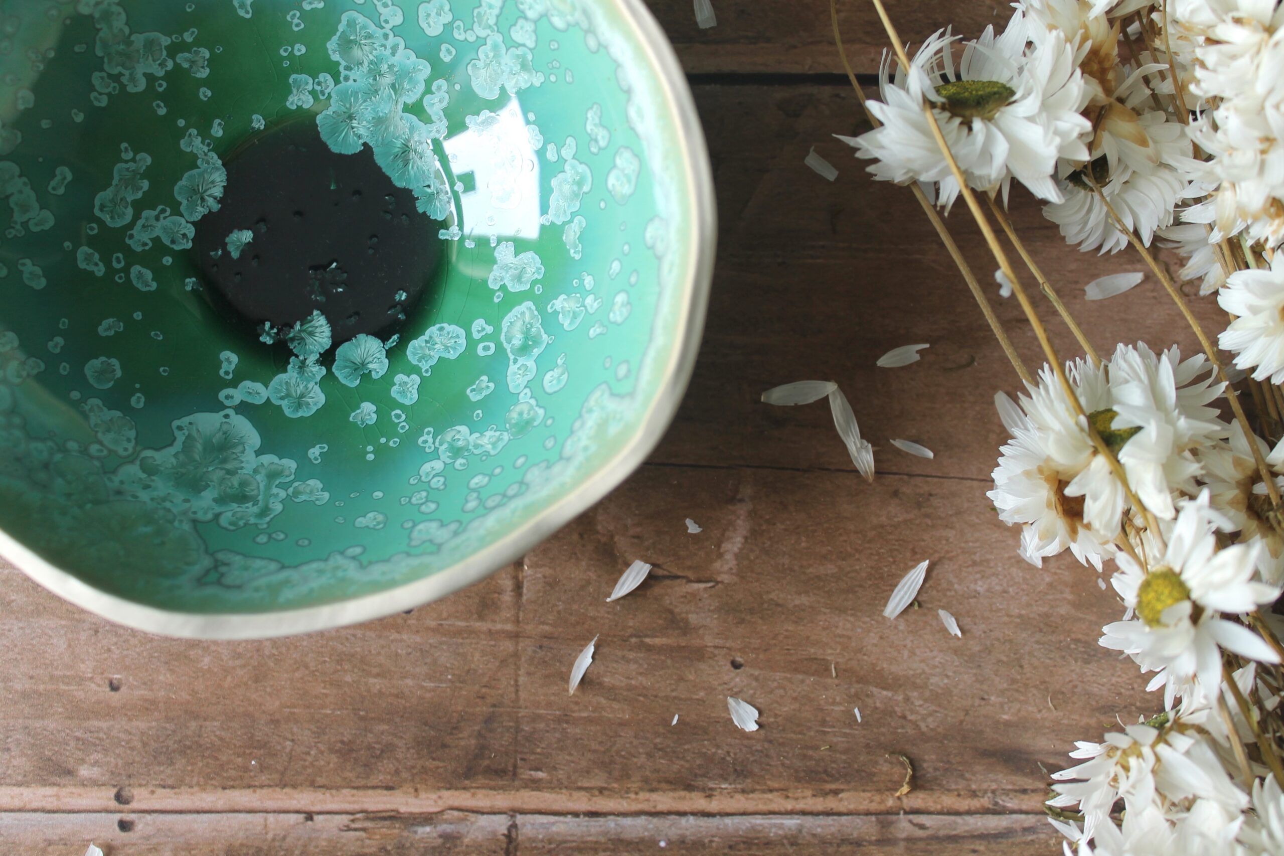 Collecties - Natuurlijk Verwonderen